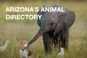 arizona-animal-directory