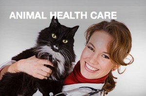 animal-health-care