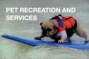 pet-recreation-services