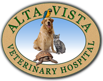 alta-vista-veterinary-hospital